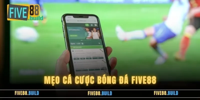 Mẹo Cá Cược Bóng Đá FIVE88 – Những Điều Newbie Cần Lưu Ý